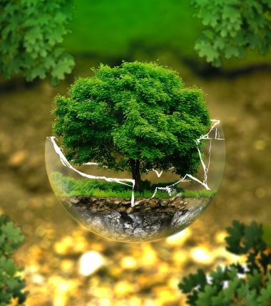 A quoi sert le tri ?