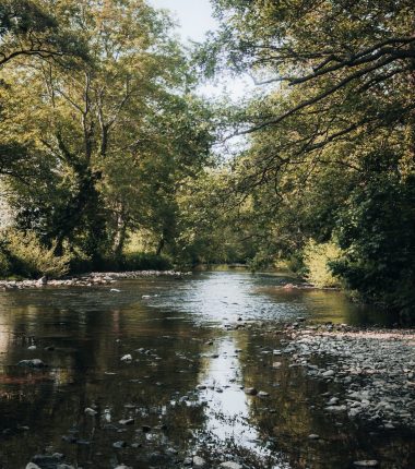 Eau et assainissement
