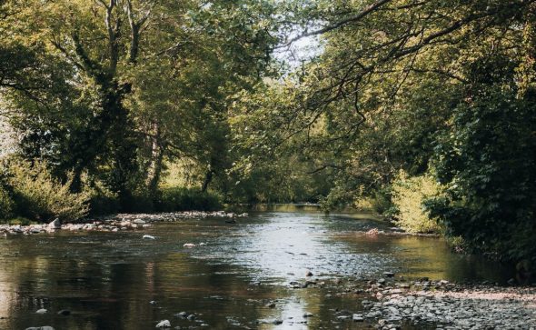 Questionnaire : L’eau et vous