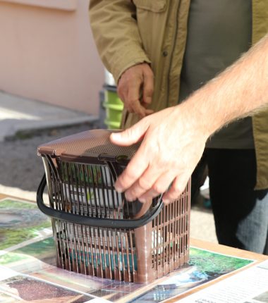 Les déchets alimentaires