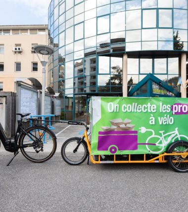 Collecte des cartons des professionnels