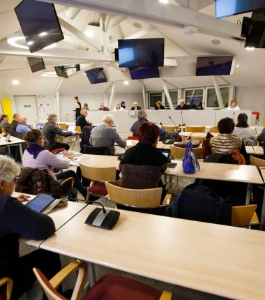 Organisation politique