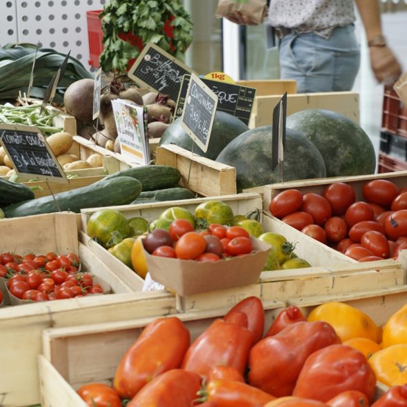 C&rsquo;est parti pour le Mois de la transition alimentaire !