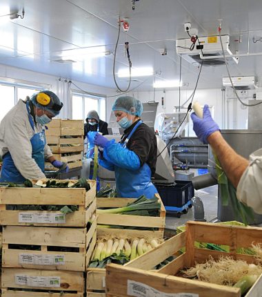 C’est parti pour la nouvelle légumerie !