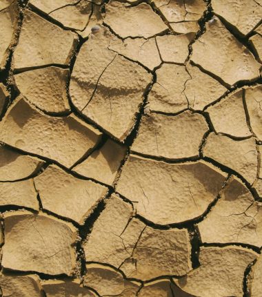 Alerte sécheresse niveau 2