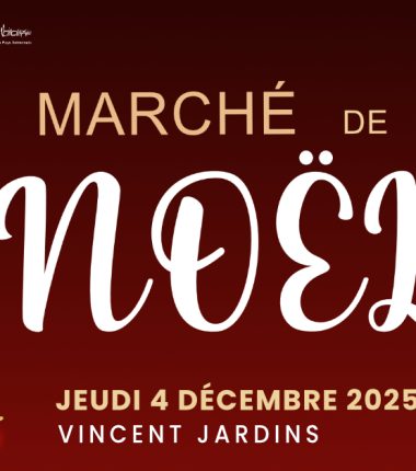 4 décembre : Marché de Noël à Centr’Alp