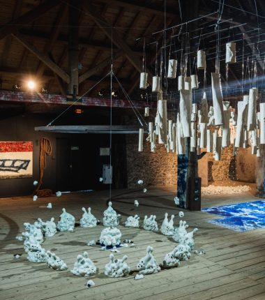 Exposition à la Grange Dîmière : Aquam Requiem