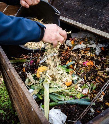 Initiation au compostage