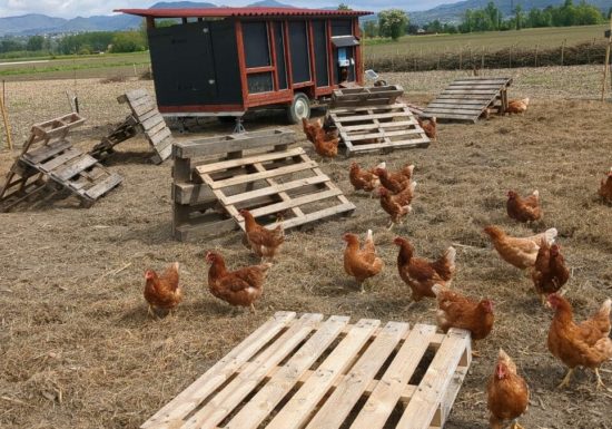 Ferme ouverte à la Forêt fruitière