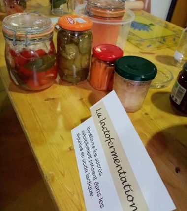 Atelier découverte de la lactofermentation