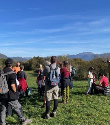 Découverte sensorielle des plantes et de leurs usages