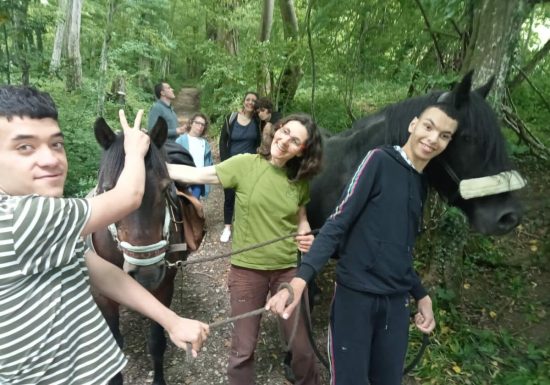 Ferme ouverte Les bergers de la Sure : d&rsquo;un monde à l&rsquo;autre