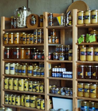 Atelier : A la découverte du monde des abeilles à la ferme Champ Chabert