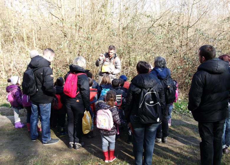 Sortie nature : à la découverte de la biodiversité en forêt