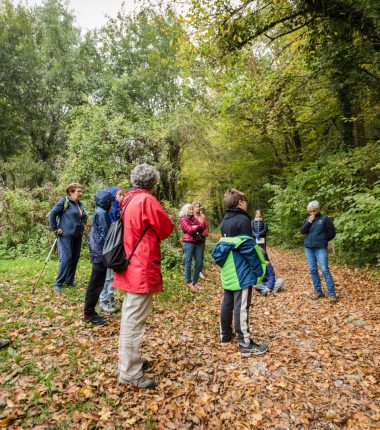 Balade : à la découverte de la forêt autour du lac de Paladru, d&rsquo;hier à aujourd&rsquo;hui