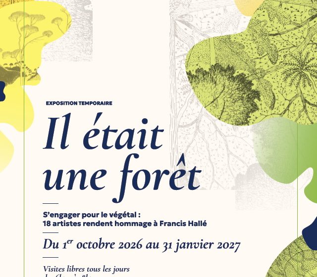 Exposition sur les forêts primaires : Il était une forêt