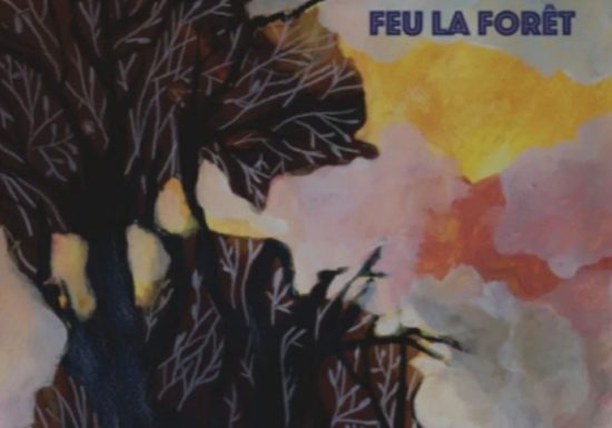 Théâtre : Feu la forêt